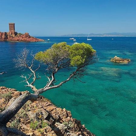 Appartement Frejus Avec Jardin, Piscine, Plage, Tennis Eksteriør bilde