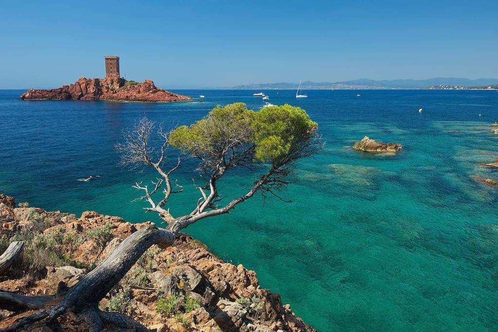 Appartement Frejus Avec Jardin, Piscine, Plage, Tennis Eksteriør bilde